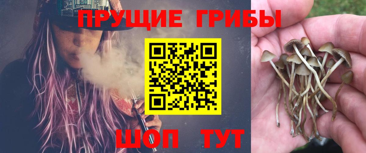Галлюциногенные грибы Magic Shrooms  Галлюциногенные грибы Cubensis  Вход с VPN  Юрга 