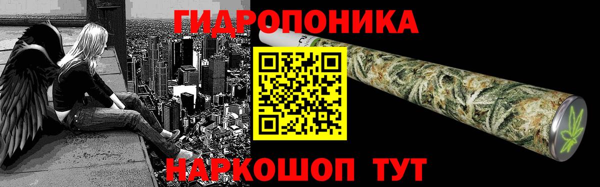 Конопля сатива Юрга